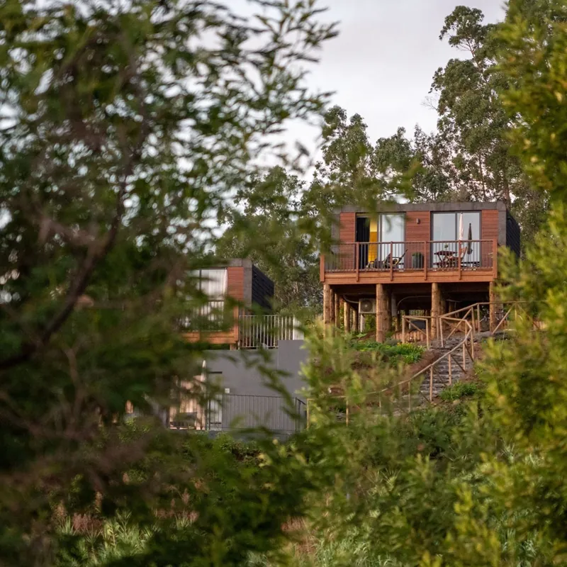 Lodge com varanda entre as árvores